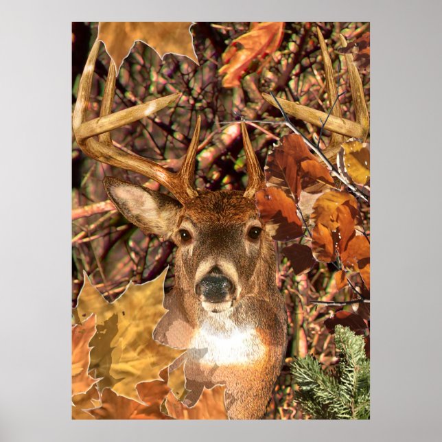 Póster Buck in Fall Camo White Tail Deer (Frente)
