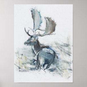 Poster Buck no Grass 2006