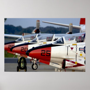 Póster Buckeyes do T-2