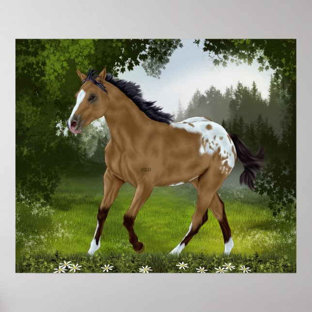 Póster Buckskin Appaloosa Horse (Frente)