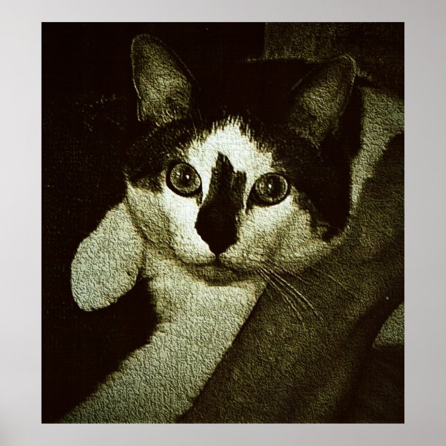 Poster Bud forte. (Frente)