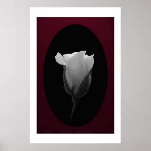 Poster Bud rosa (preto e branco)
