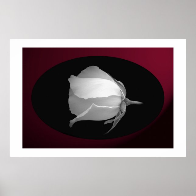 Póster Bud rosa (preto e branco) (Frente)