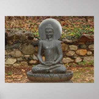 Póster Buda na chuva