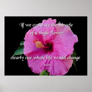 Poster Buddha, Uma Flor Solteiro