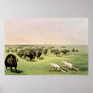 Poster Búfalo da caça camuflado