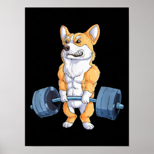 Poster Buff Power Levantando Corgi Bodybuilder
