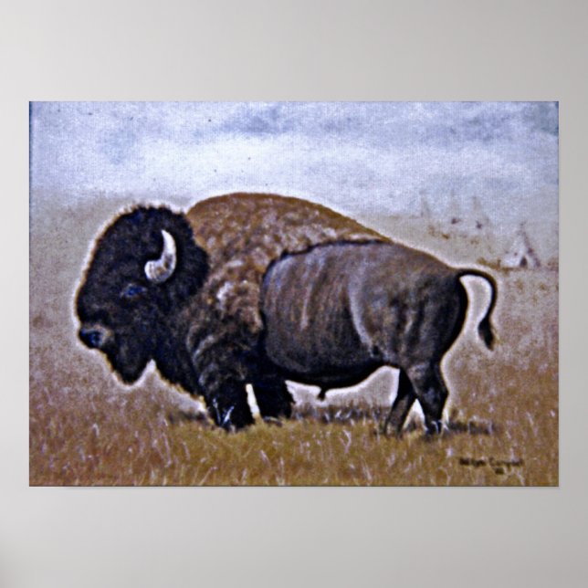 Póster Buffalo (Frente)