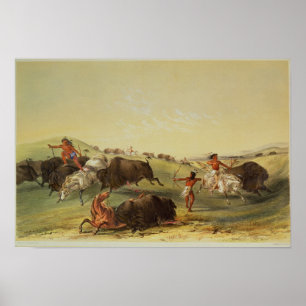 Poster Buffalo Hunt
