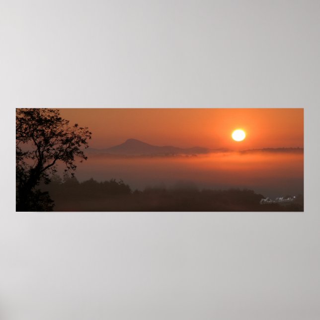 Poster Buffalo Sunrise (Frente)