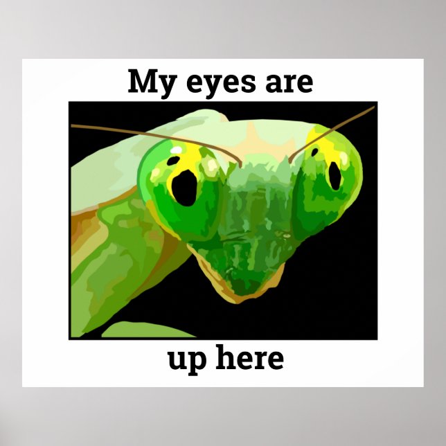 Poster Bug 2 (Frente)