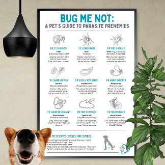Poster Bug Me Not - A Pet’s Guide to Parasite Frenemies