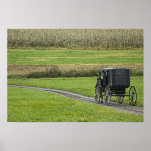 Poster Bugue amish em estrada rural, Nordeste de Ohio,