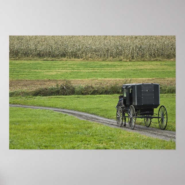 Poster Bugue amish em estrada rural, Nordeste de Ohio, (Frente)