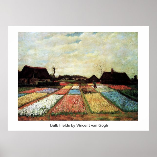 Póster Bulb Fields de Vincent van Gogh. (Frente)