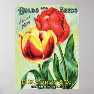 Póster Bulbos e sementes vermelhos e tulipa amarela