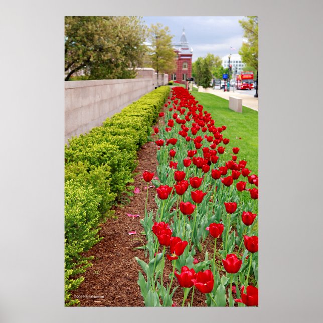 Poster Bulbs Haupt (Frente)