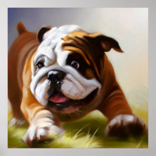 Poster Buldogue