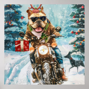 Poster Buldogue Andando motocicleta Natal