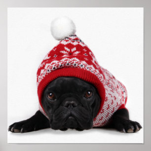 Poster Buldogue com camisola encapuçado