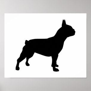 Póster Buldogue francês