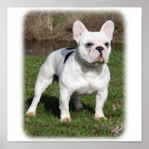 Póster Buldogue francês 9Y202D-134