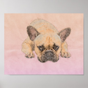 Poster Buldogue francês - cão de Frenchie