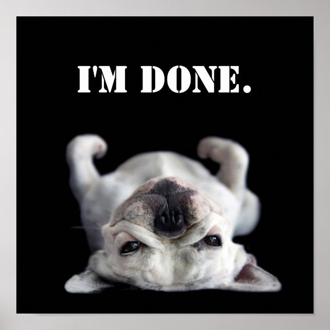 Póster Buldogue Francês Descansando Nas Costas (Frente)