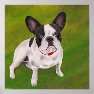 Póster Buldogue francês preto-e-branco na grama - Pintura