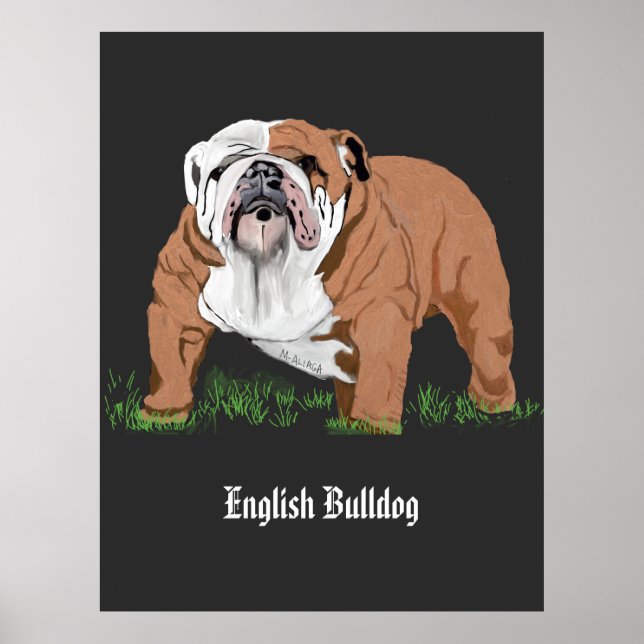 Poster Buldogue Inglês (Frente)