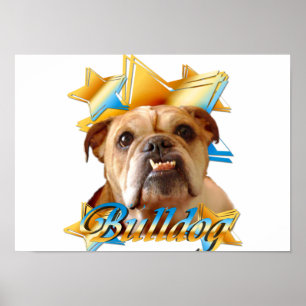 Poster Buldogue inglês