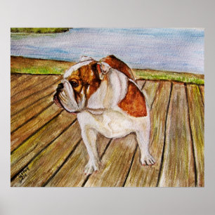 Poster Buldogue no passeio à beira mar
