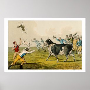 Póster 'Bull Baiting', pub. by Thomas McLean, 1820, (prin