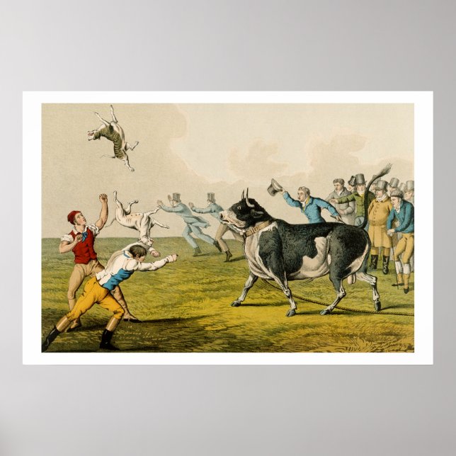 Póster "Bull Baiting", pub. de Thomas McLean, 1820, (Frente)