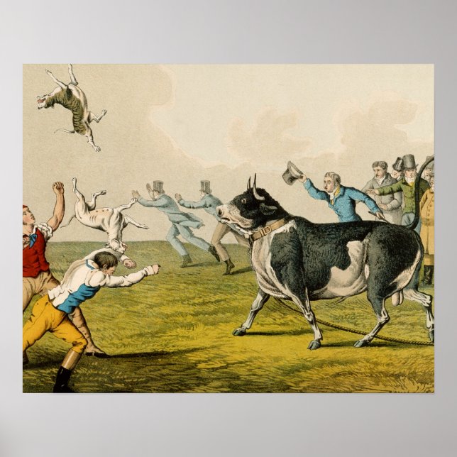 Poster "Bull Baiting", pub. de Thomas McLean, 1820, (Frente)