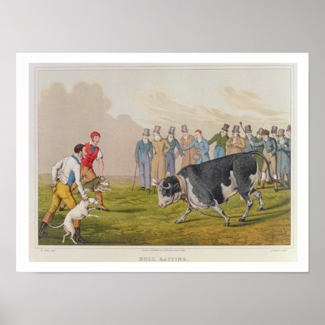 Poster "Bull Baiting", pub. de Thomas McLean, 1820, (impr (Frente)