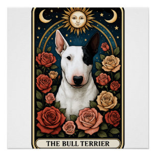 Póster Bull Terrier