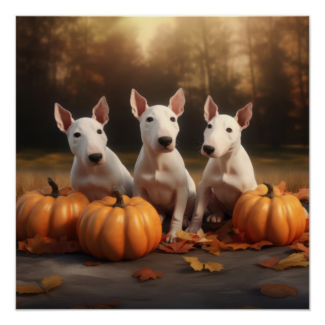 Póster Bull Terrier Puppy Autumn Delight Pumpkin (Frente)