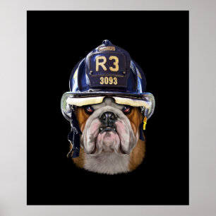 Poster Bulldog Inglês Grumpy Vestindo Helmet para Bombeir