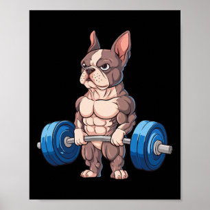 Poster Bulldogue Francês Engraçado Levantamento de Peso M