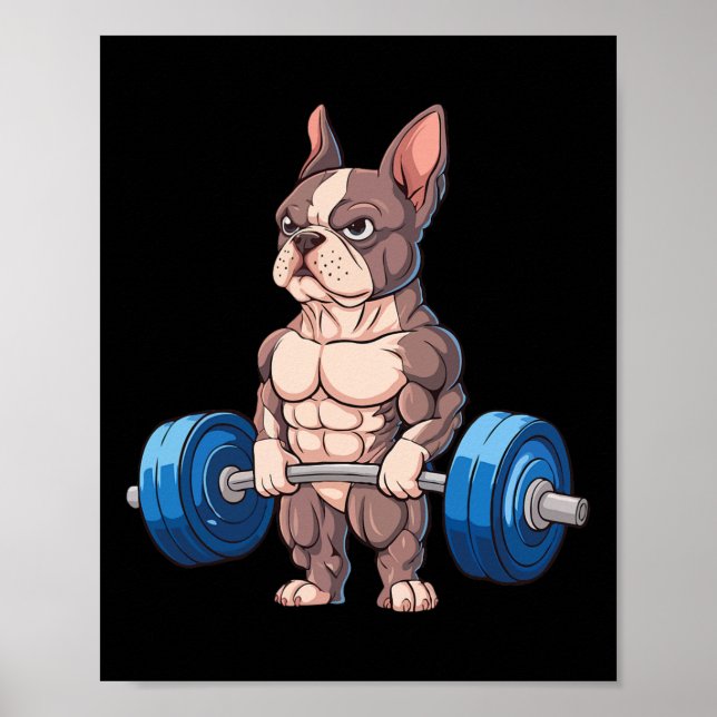 Poster Bulldogue Francês Engraçado Levantamento de Peso M (Frente)