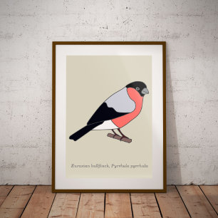 Poster Bullfinch