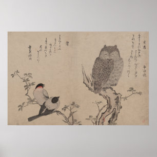Póster Bullfinch e coruja horned - Kitagawa Utamaro