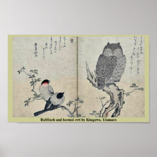 Poster Bullfinch e coruja horned por Kitagawa, Utamaro
