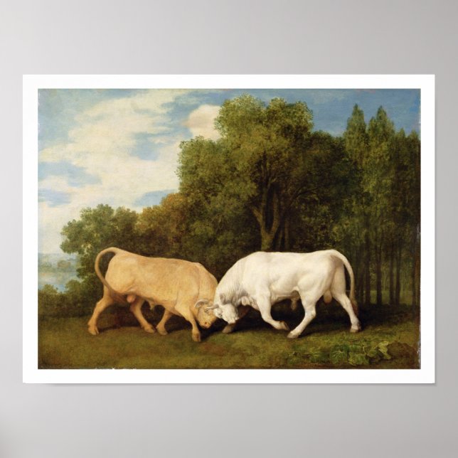Poster Bulls Fighting, 1786 (óleo no painel) (Frente)