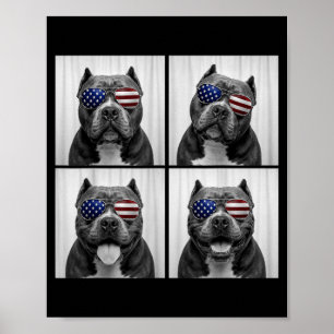 Poster Bully Americano 4 de Julho Bandeira Americana Cach