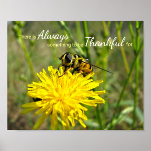 Poster Bumble Bee Yellow Dandelion Sempre Graças