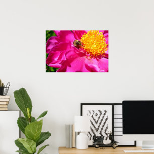Póster Bumblebee Peony