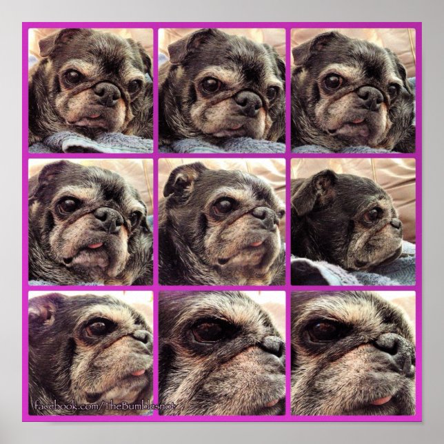 Póster Bumblesnot Poster: Sombras do Bumble (Frente)