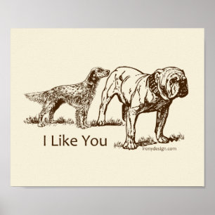 Poster Bumbum dos Sniffs do cão